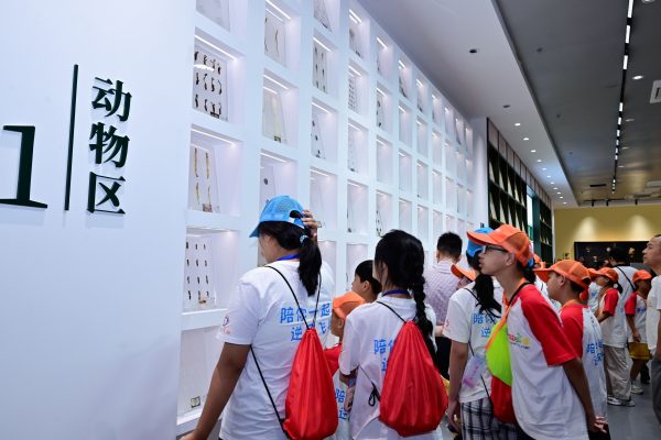 ��ҳ|Z6�����й��ٷ���վ